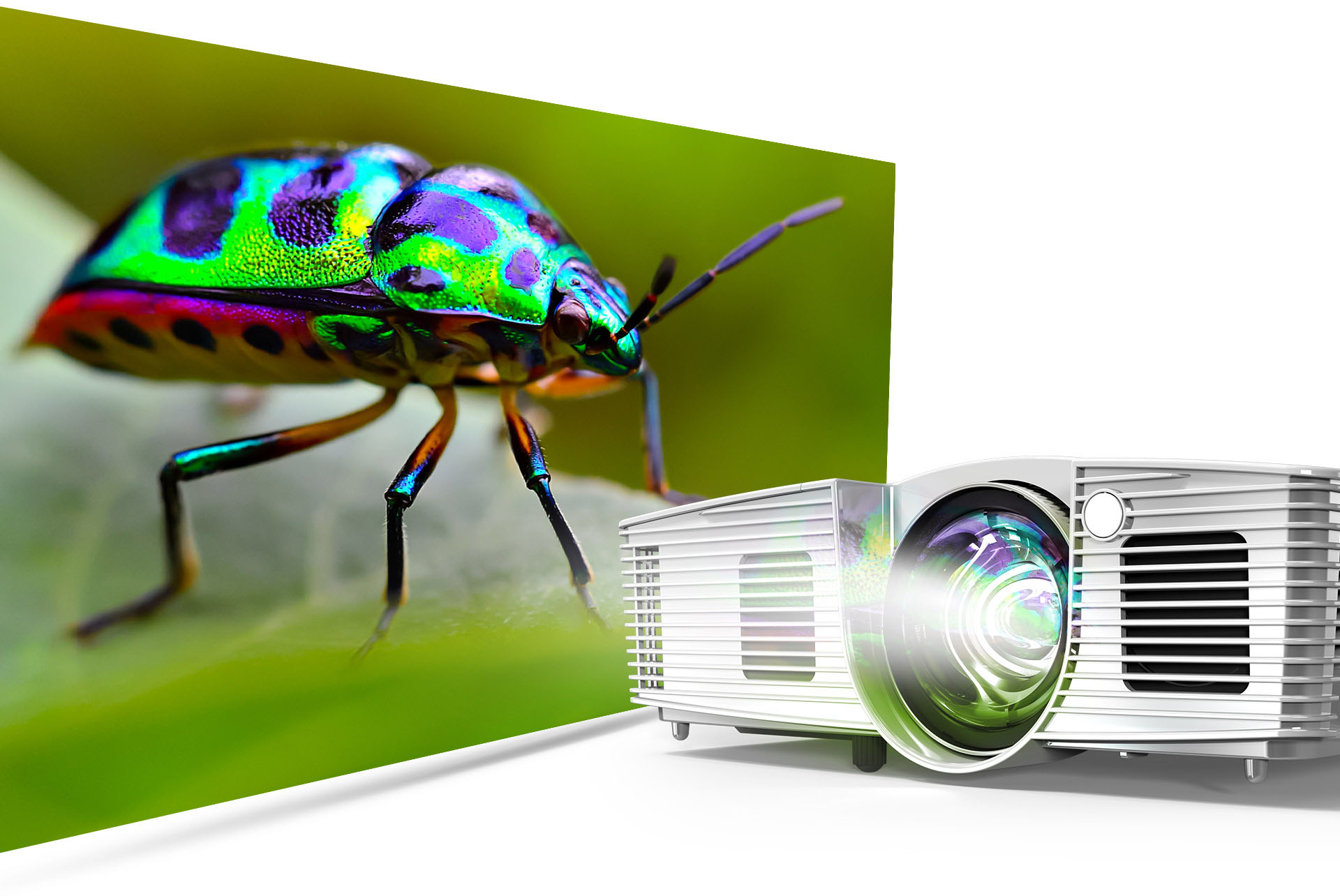 Acer S1 projector angled to the left showing a shiny purple and green insect on a leaf