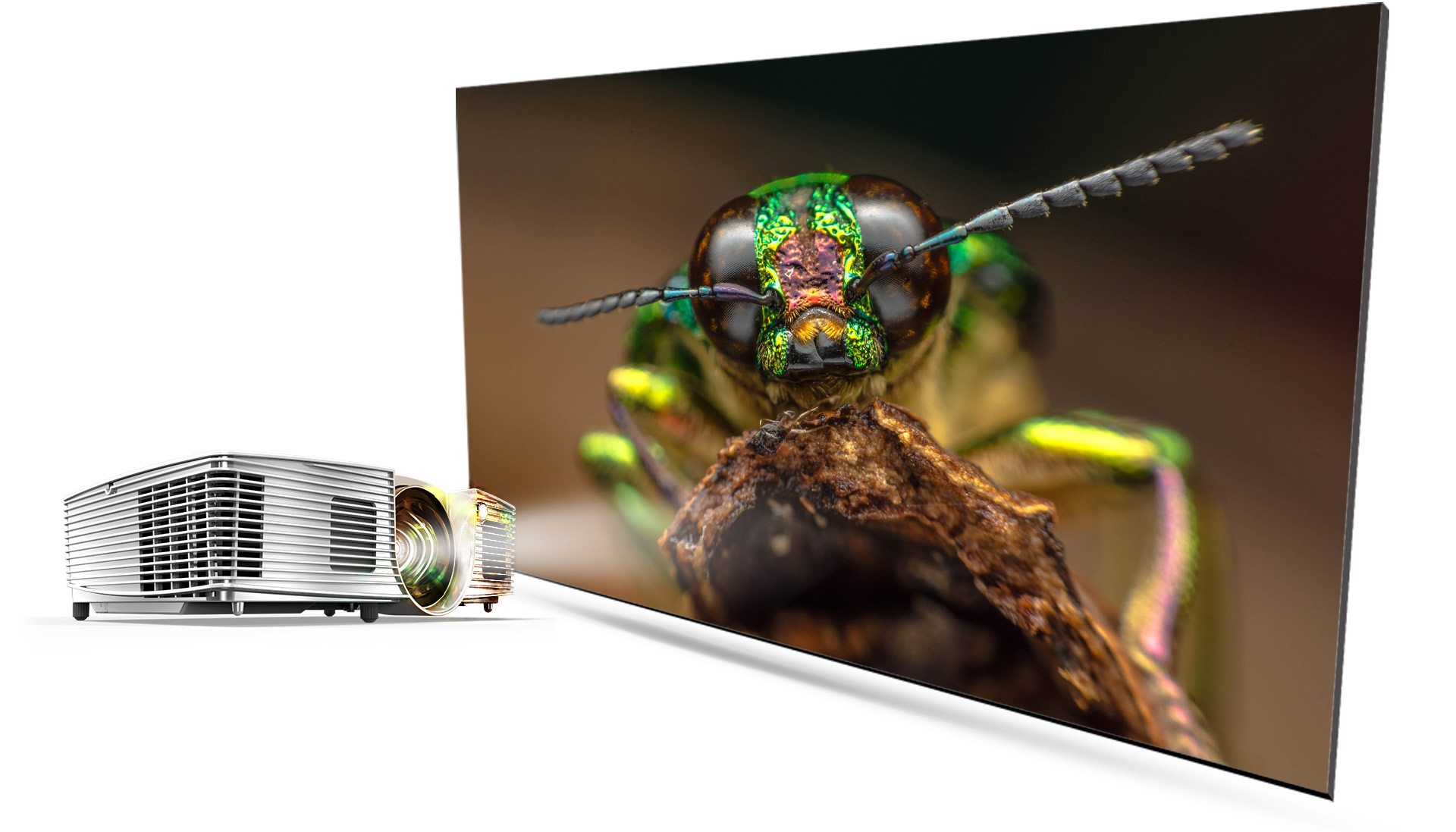 Acer S1 projector angled to the right casting a high-definition, closeup image of a bug looking forward