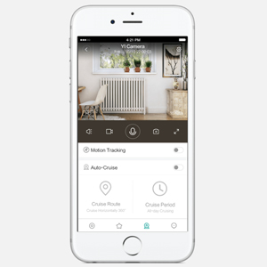 YI dome camera
