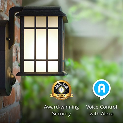 MAXIMUS Contemporary Smart Security Light and Camera