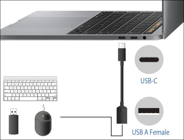 The USB-C end has a computer on display and the USB-A end has keyboard, USB flash drive, and mouse on display