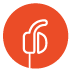 Ergonomic Ear Tips