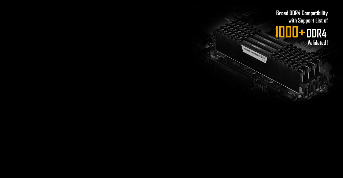 X299