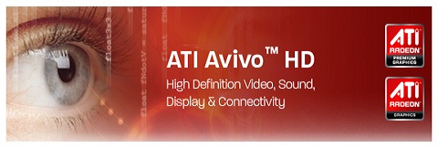 avivo