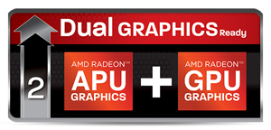 R9-290X-EDFD