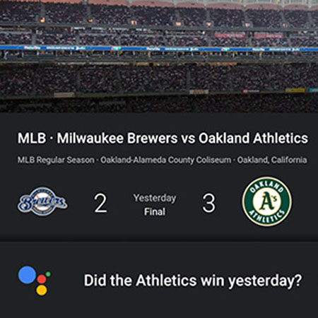 use Google Assistant to ask sports