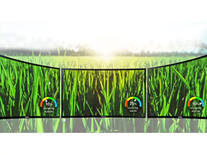 a piece of lawn as screenshot