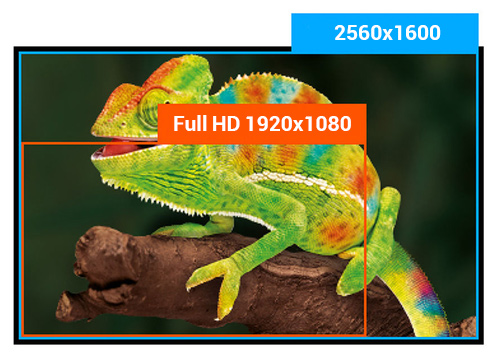 AXM 3018 Monitor