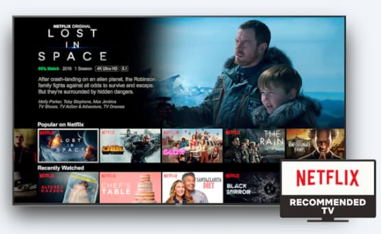 A TV showing Netflix shows
