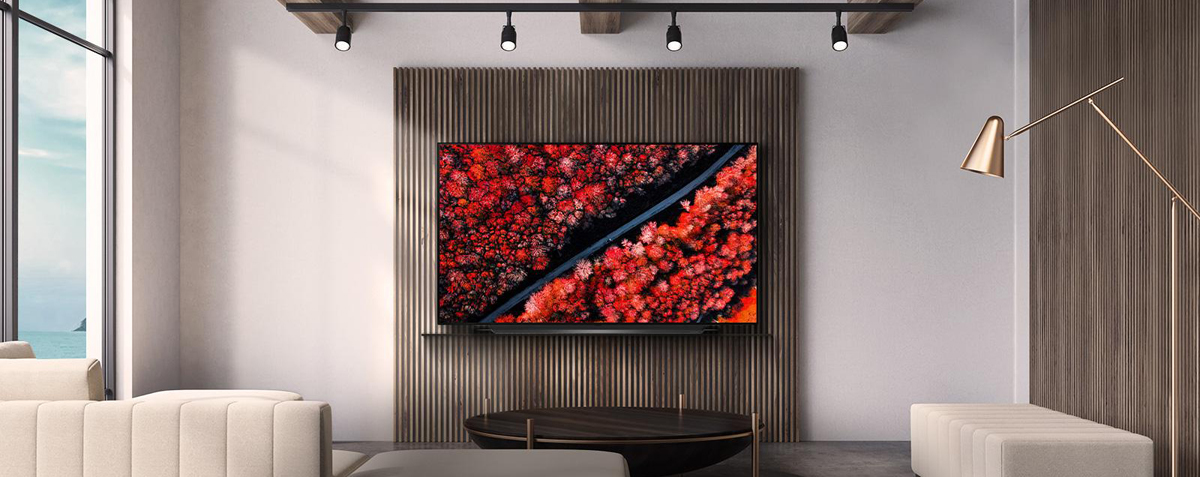An LG OLED TV on the wall shows a field filled with brightly red flowers from an airial perspective.
