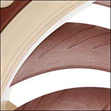 Noctua