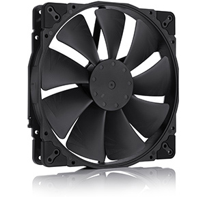 Noctua