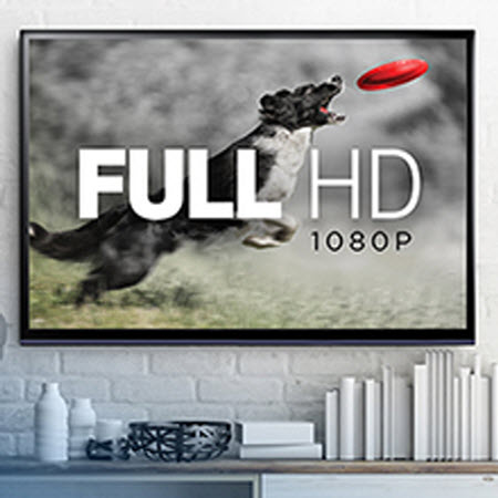 a Full HD TV showing a dog catching a Frisbee