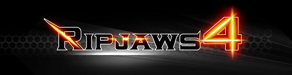 G.SKILL RIPJAWS 4 Logos