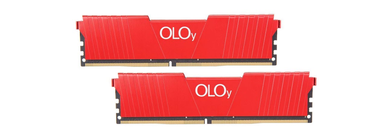 two OLOy DDR4 Memory modules