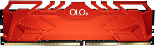 Front view of the memory module in standing position