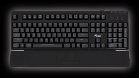 Rosewill