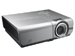 newegg