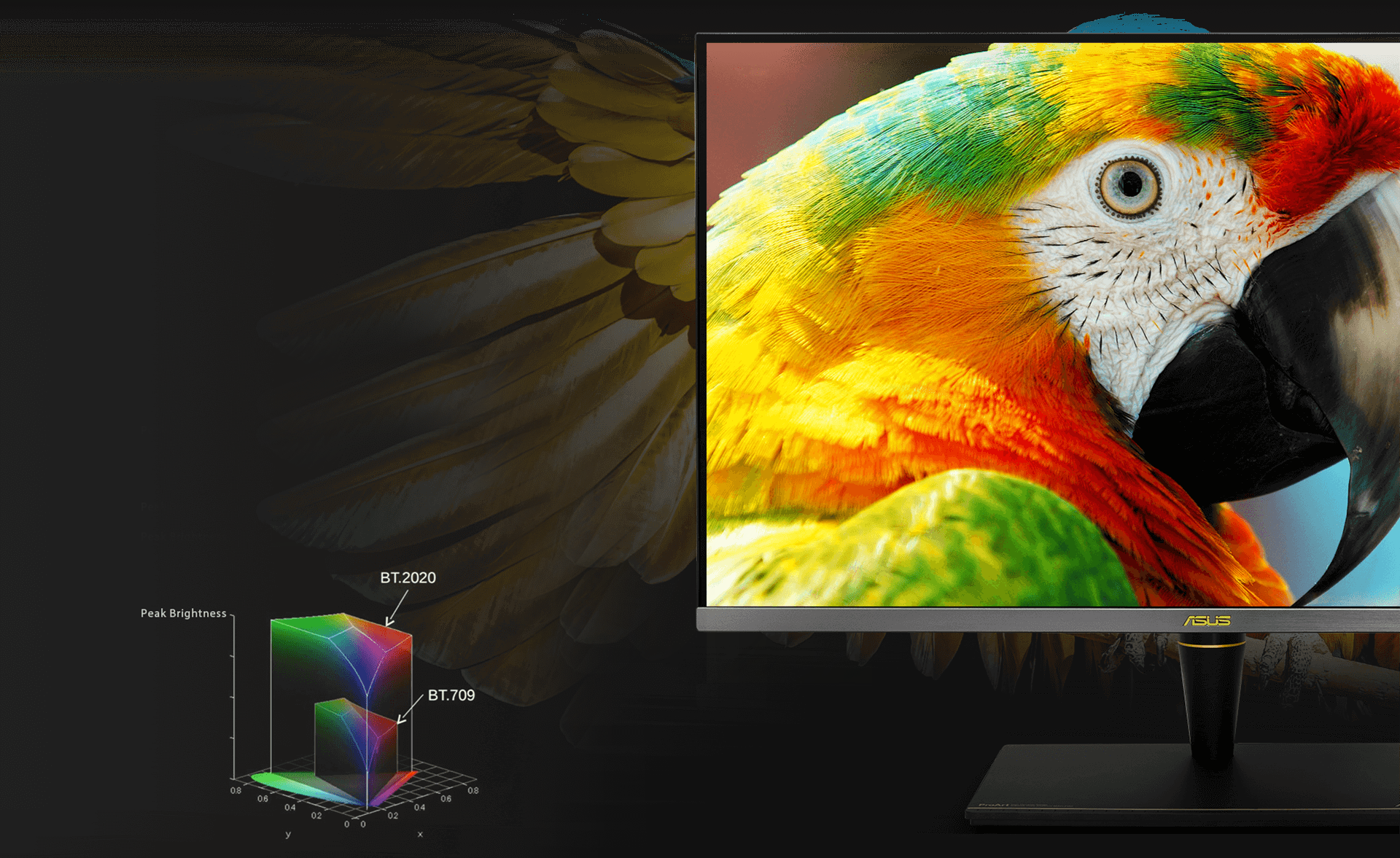 a monitor with a parrot picture as screen