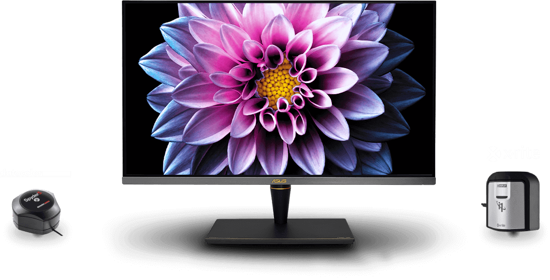 the monitor with a flower as screen