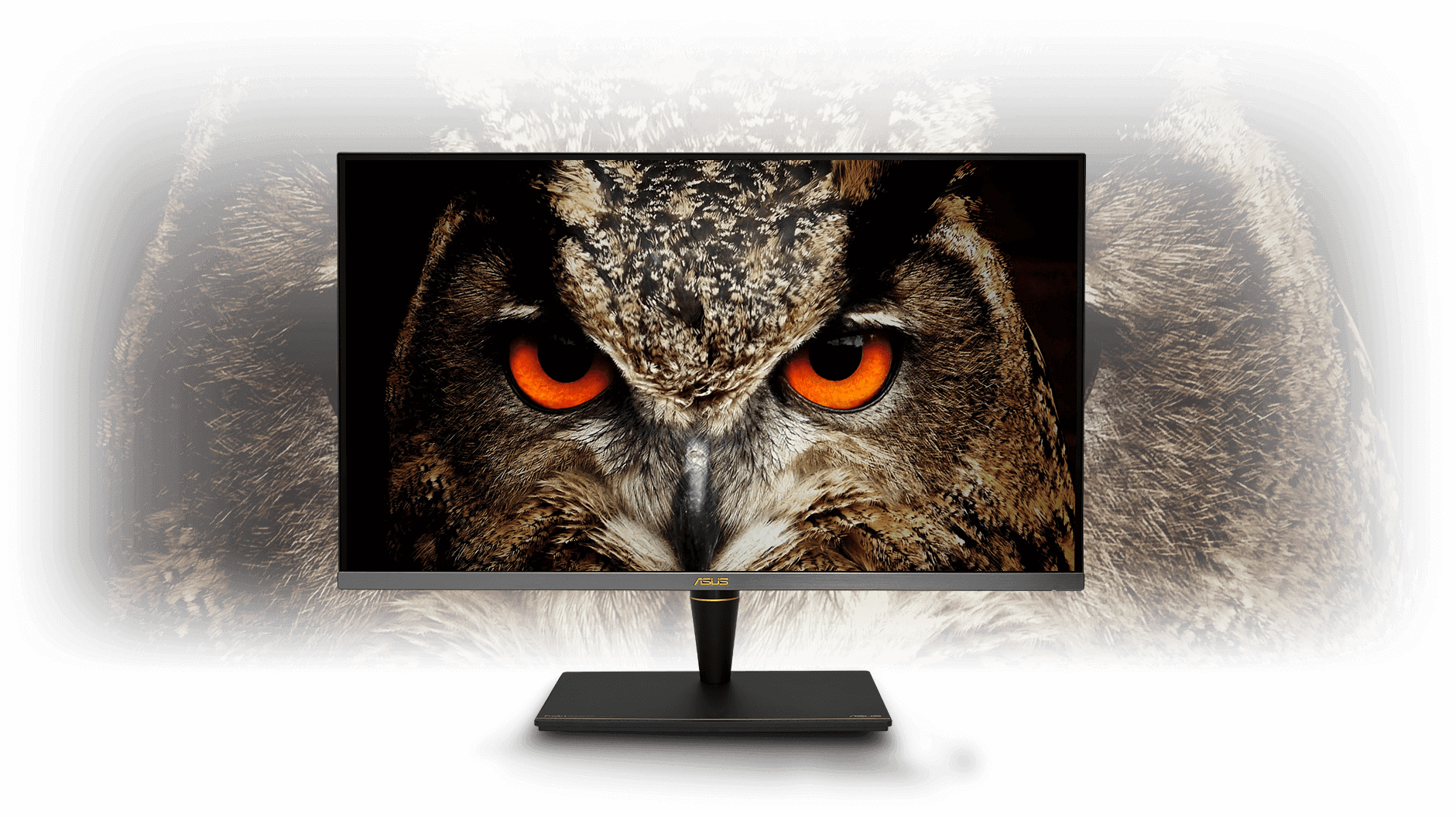 a monitor with a owl picture as screen