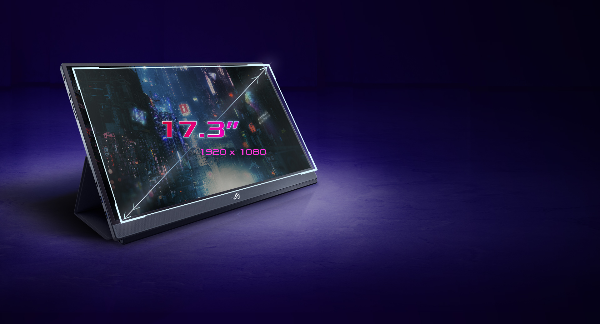 a monitor showing 17.3inch and 1920x1080