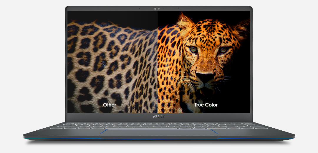 A Comparison Image on Prestige 15's Screen: Left is Other Display Technology While Right is MSI Exclusive True Color Technology