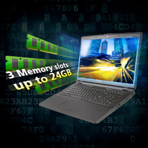 FHD Wide Viewing-angle Display: High-resolution Gaming