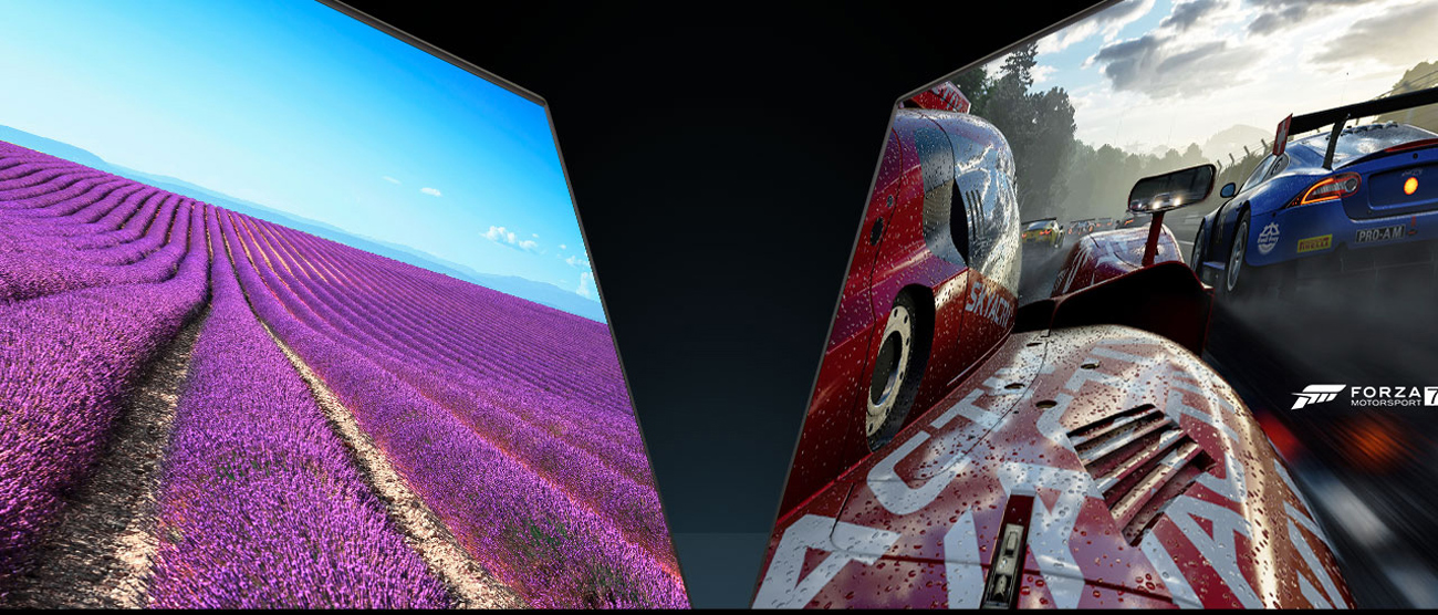 one image of lavender and one image of racing cars