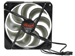 newegg