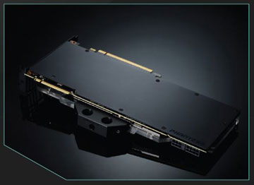 Black and Gold Phanteks Backplate