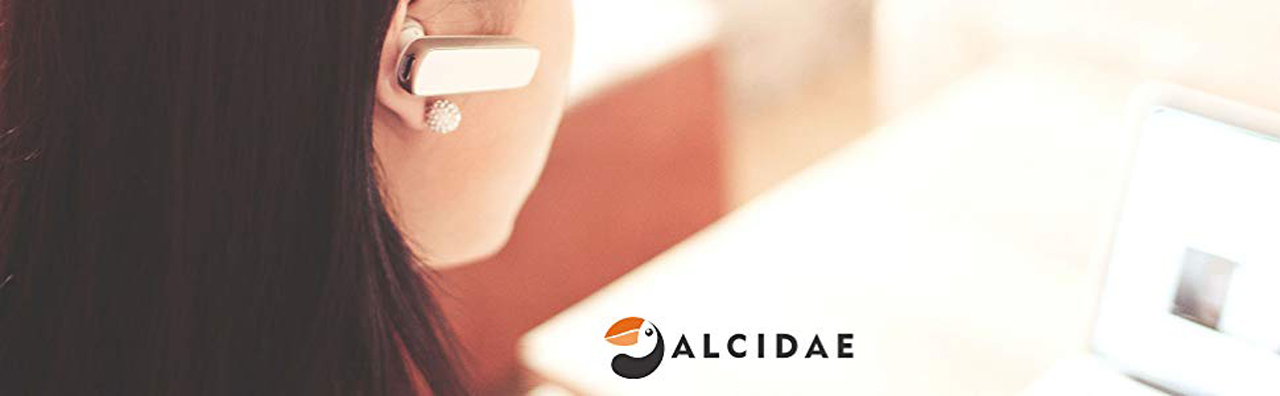 Alcidae Smart Home