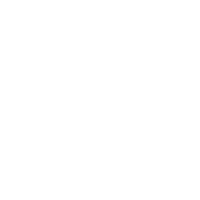 MAVIC2