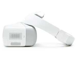 DJI Goggles