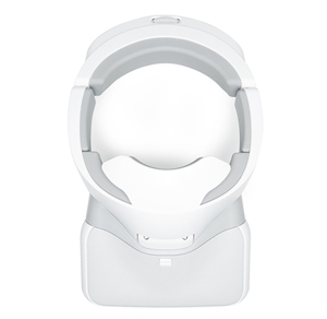 DJI Goggles
