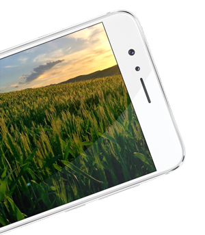Huawei Honor 8