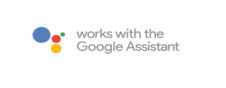 Google Assistant