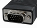 newegg