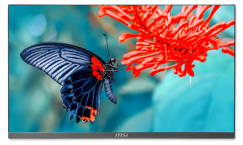 PRO 24X's screen, vivid image is showing on it.