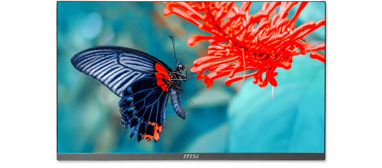 IPS Grade Panel with Narrow Bezel