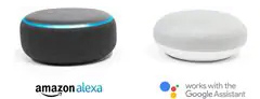 Amazon Alexa icon and Google Assistant icon