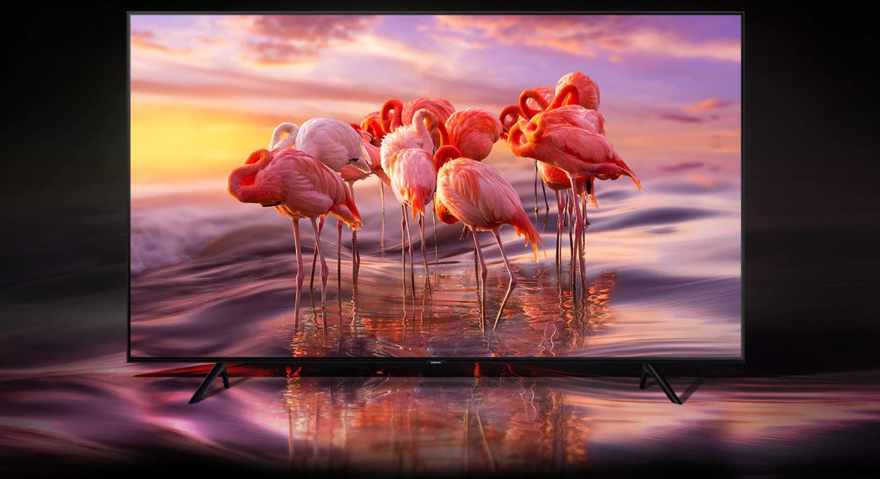 QLED 4K UHD display showing flamingos standing in shallow water at twilight hour
