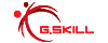  G.SKILL