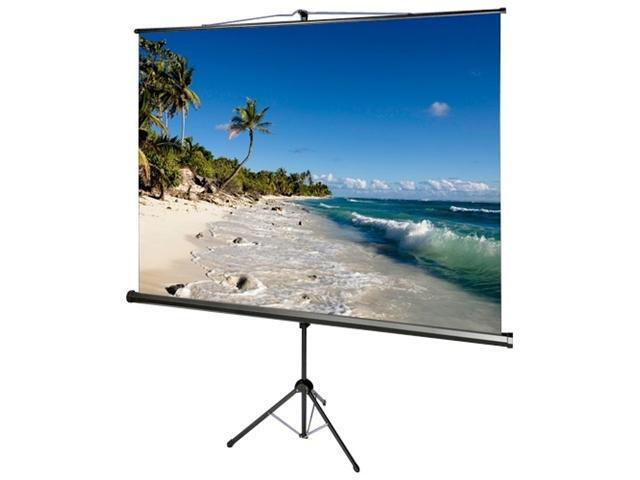 AccuScreens 800071 Projection Screen