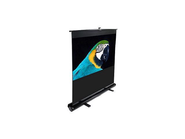 Elitescreens 84" HDTV(16:9) Portable ezCinema Portable Floor Set Manual Projection Screen (84" 16:9 AR) (MaxWhite) F84NWH