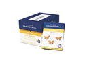 Hammermill Fore MP Multipurpose Paper, 96 Brightness, 24lb, 8-1/2 x 11, 5000/Carton
