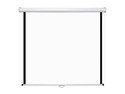 AccuScreens 800002 100" HDTV Manual Screen 49" x87"
