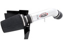 AEM Induction 21-8000DP Brute Force Induction System