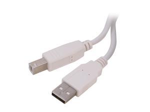 BYTECC USB2-6AB-W 6 ft. White Type A Male to Type B Male Cable BYTECC USB2-6AB-W 6 ft. White Type A Male to Type B Male Cable