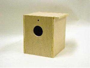 Cockatiel Nesting Box